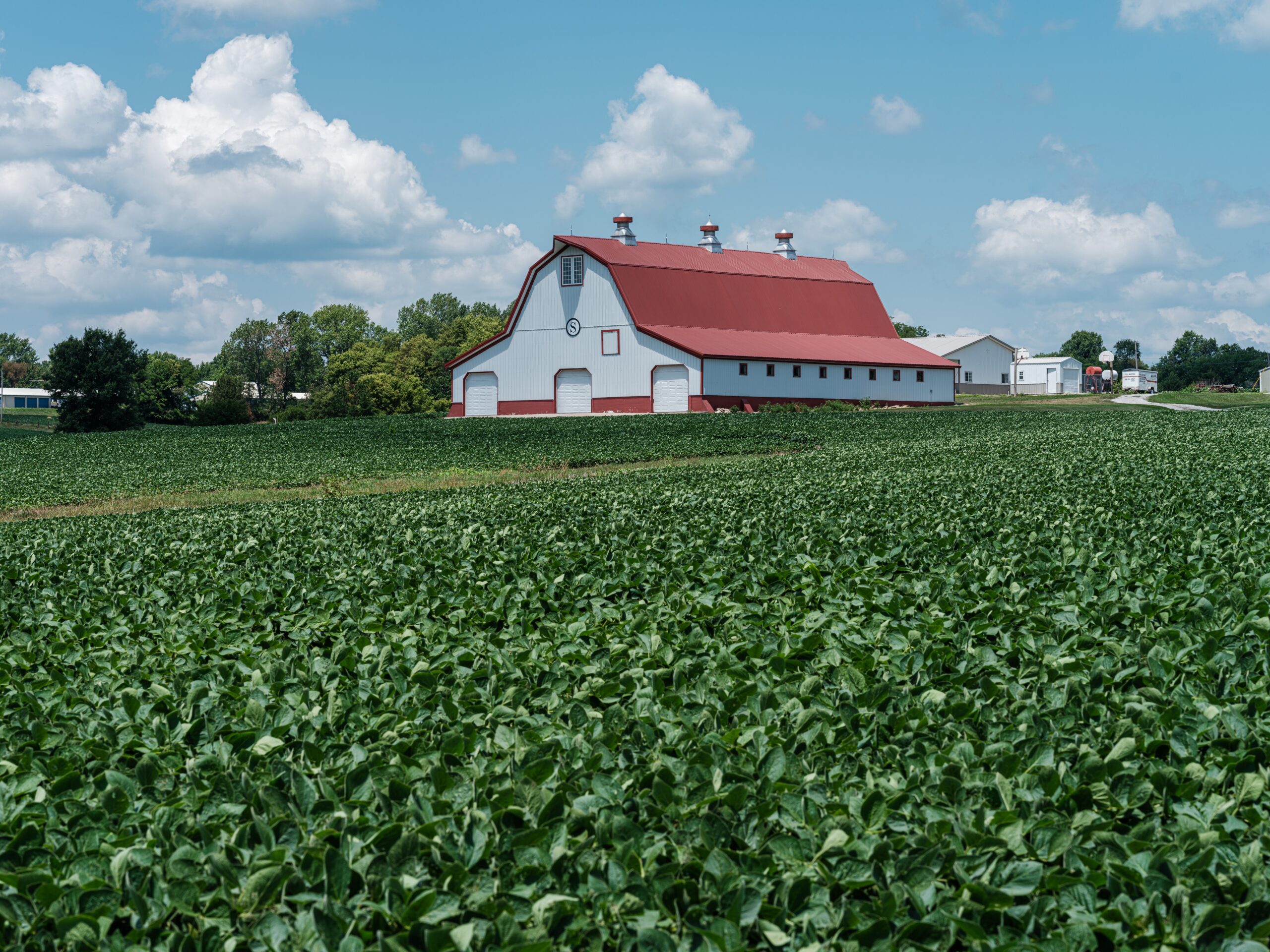 Agricultural Big Data