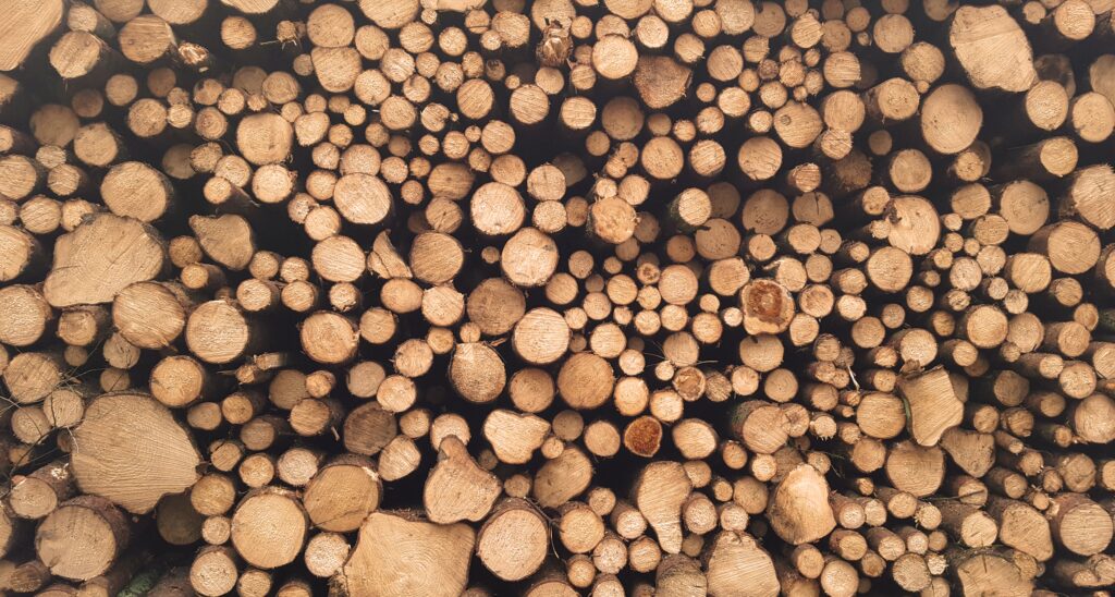 Timber Supply Chain Efficiency